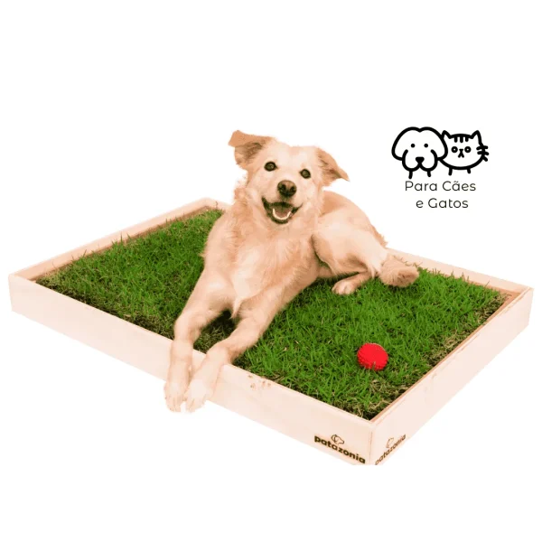Sanitário para Cães Patazonia