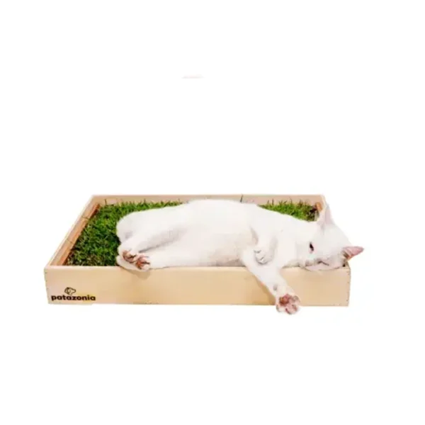 Sanitário para Gatos Patazonia