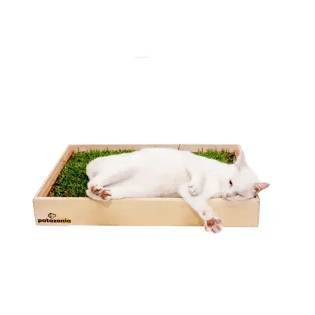 Sanitário para Gatos Patazonia