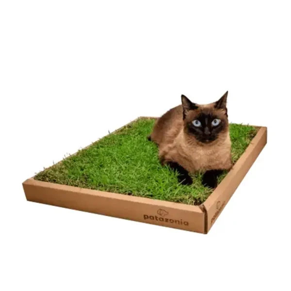 Sanitário para Gatos Patazonia