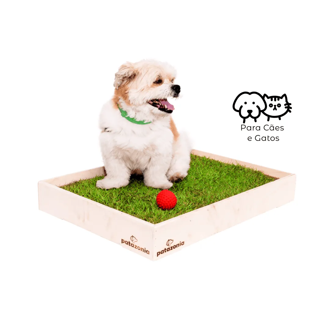 Sanitário para Cães Patazonia